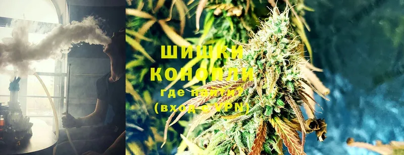 где можно купить   Шагонар  Каннабис Ganja 